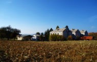 ОГЛАС - За продажба на имотот на стечајниот должник по пат на електронска продажба со јавно наддавање без утврдена почетна цена