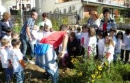 Во Пехчево одбележан ,, Светскиот ден без автомобили “ и акцијата ,, Засади дрво за мир “