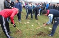 Акцијата ,, Ден на дрвото “ спроведена успешно во Пехчево