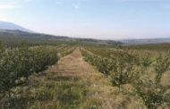 Соопштение за јавноста. Пријавување на штети на земјоделски насади од ниските температури