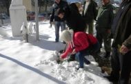 Под мотото „За зелено Пехчево-засади ја својата иднина“ денеска во Пехчево одбележан Денот на дрвото