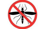 Прскање против комарци